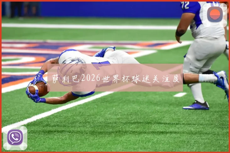 萨利巴2026世界杯球迷关注度