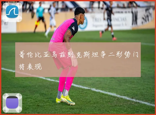 哥伦比亚乌兹别克斯坦争二形势门将表现