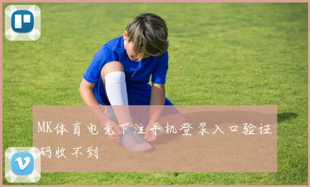 MK体育电竞下注手机登录入口验证码收不到