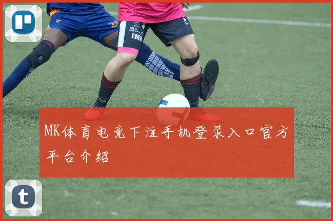 MK体育电竞下注手机登录入口官方平台介绍
